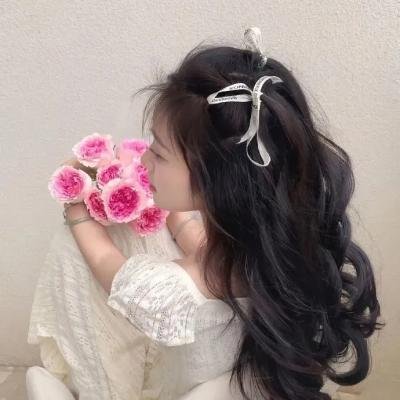 赘婿动画版